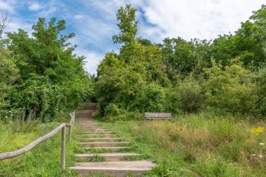 Ahşap çitli bir patika ve bankın önüne çıkan adımlar. Çimler yeşil, gökyüzü mavi.