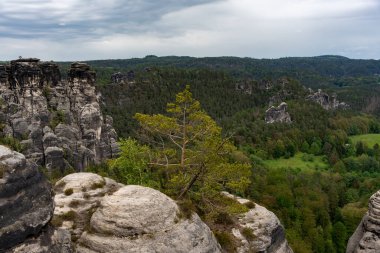 Kayalık bir dağ sırasının ortasında yalnız bir ağaç duruyor. Gökyüzü bulutlu, manzara sakin ve huzurlu.