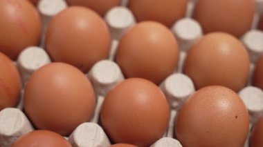 Kutuda bir düzine yumurta var. Yumurtalar kahverengi. Bir kutuda yumurtaları döndürmek.