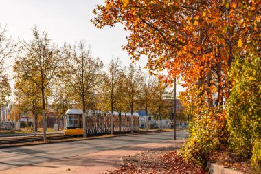 Almanya 3 Kasım 2024. Bir tramvay ağaçların arka planına karşı caddede ilerliyor. Yapraklar renk değiştiriyor, sıcak ve huzurlu bir atmosfer yaratıyor..