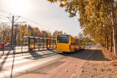 Almanya 3 Kasım 2024. Sarı bir otobüs bir sıra ağacın yetiştiği cadde boyunca ilerliyor. Otobüs durağı geçiyor. Sahne huzurlu ve sakin.