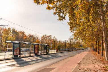 Almanya 3 Kasım 2024. Otobüs durağı ve arka planında birkaç ağaç olan bir şehir caddesi. Yapraklar renk değiştiriyor. Sahneye sıcak ve samimi bir hava veriyor.