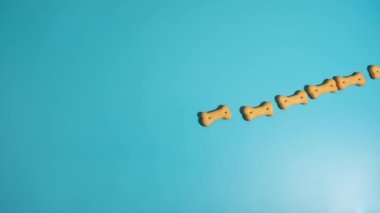 Mavi arka planda köpek bisküvilerinden yapılan köpek kelimesi, hareket animasyonunu durdur. Bisküvi şekilli kemikler, köpek kelimesini oluşturmak için hareket eder..