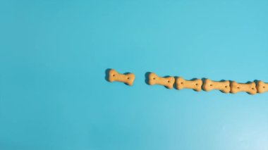 Mavi arka planda köpek bisküvilerinden yapılmış köpek kemiği kelimesi, hareket animasyonunu durdur. Bisküvi şekilli kemikler, köpek kemiği kelimelerini oluşturmak için hareket eder..