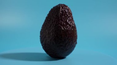 Büyük bir avokado mavi bir yüzey üzerinde döner. Bu kahverengi bir renk. Avokado taze..