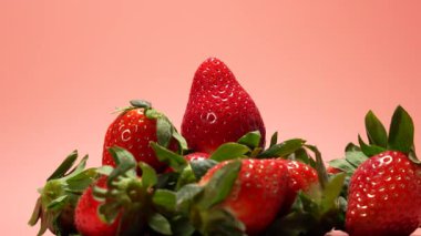 Bir grup kırmızı çilek pembe arka planda döner. Çilekler taze ve sulu. Hepsi üst üste yığılmış. Birbirleriyle çakışıyorlar..