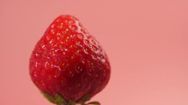 Kırmızı çilek pembe arka planda döner. Çilekler küçük ve yeşildir. Yeşiller meyvenin altında görünür. Çileğe yakın çekim.