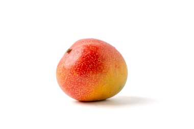 Saplı kırmızı ve sarı bir meyve. Bu bir mango. Beyaz bir arka planda duruyor.