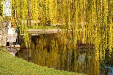 Arka planda köprü olan bir gölet. Su sakin ve ağaçlar sarı. Ağaçların yansıması suda görülebilir.