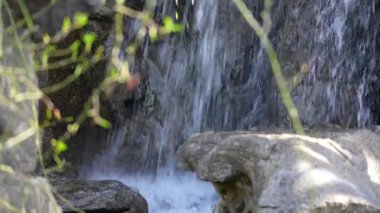 Küçük bir şelale bir kayadan aşağı akıyor. Su berrak ve kayalar gri. Arka planda bazı yapraklar var.