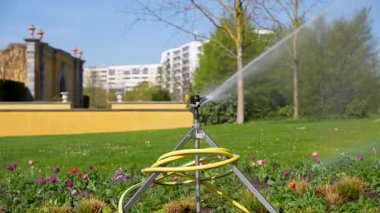 Sarı ve mavi bir hortum fıskiyeye bağlıdır. Fıskiye çimlere su püskürtüyor.