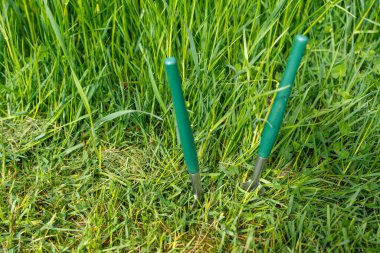 İki yeşil saplı kürek, uzun çimenlerin arka planına yapışıp kalmış. Bahçede kürek konsepti..