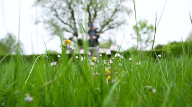 Arka planda papatyalar olan yeşil çimenlikte çim biçme makinesiyle çalışan bir adam görebilirsiniz. Çim biçme makinesi çimleri biçer..
