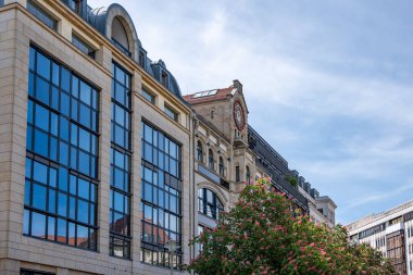 Önünde çiçek açan bir ağaç olan güzel, eski bir bina. Berlin 'in eski binası.