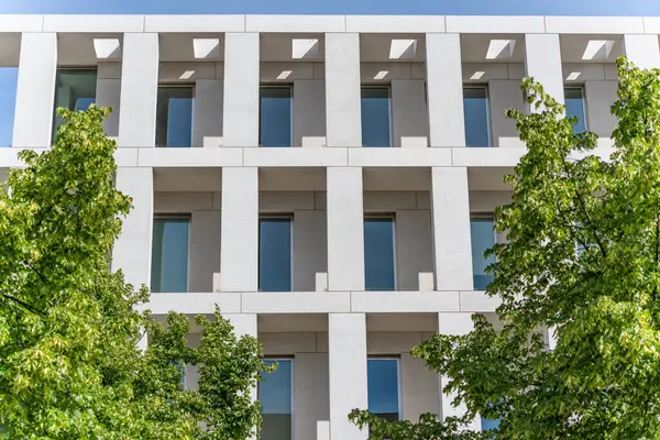 Berlin 'in merkezindeki Polonya Büyükelçiliği' nin ön cephesi. Binanın ön cephesinde ağaçlar büyüyor..