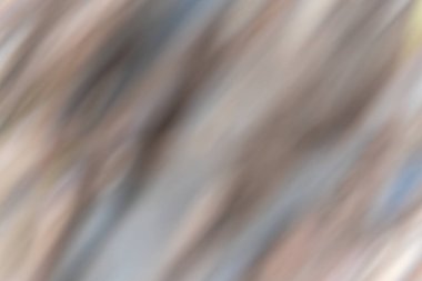 Çapraz Görüntü Sıcak Tonlarda. Görüntü çaprazlama akıyor ve yumuşak, akışkan bir hareket yaratıyor. İmaja bej ve gri renkteki dereceler hakim..