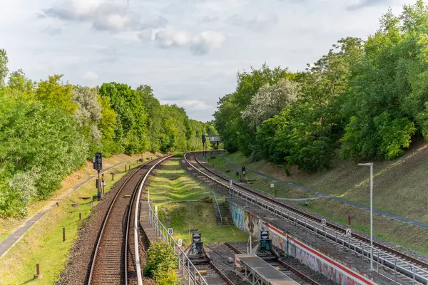 Yeşil bir ormandan geçen çift raylı bir demiryolu hattı. Raylar yavaşça uzaklığa doğru kıvrılır..