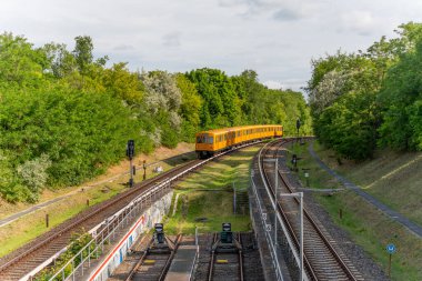 Almanya 7 Haziran 2025. Sarı bir Berlin metrosu doğada yeşil bir yol boyunca ilerliyor. Tren ormanlık alanda hafif bir viraj takip ediyor..