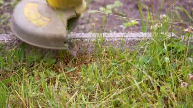 Sarı çim biçme makinesi çimlerin tam kenarını keser. Yazın bahçe işlerinin detaylı çekimi.