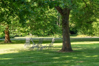 Metal sandalyeler, büyük ağaçların gölgesinde güneşli bir çayırda gevşek bir şekilde dağılırlar. Sahne sükunet ve yaz uykusunu yayar..