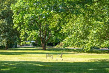 Parktaki büyük bir çayırda, ışık dolu ağaçlarla çevrili iki boş sandalye. Kalmak için huzurlu bir yer..