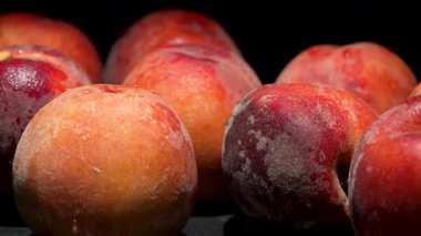 Doğal cilt dokusuyla kadife şeftali. Kadife gibi yüzeyi olan şeftaliler stüdyo ışıkları altında yavaşça döner. Doğal deri dokusu ve renk çeşitliliği özellikle otantik görünür..