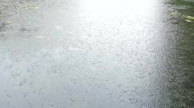 Göle düşen yağmur gibi. Hafif yağmur durgun bir gölet yüzeyinde sayısız dalgalanma yaratır. Doğanın ritmini gösteren barışçıl bir sahne..