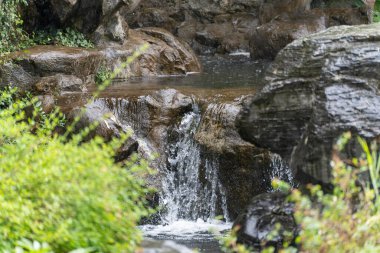 Kayaların üzerinde küçük bir şelale. Yumuşak bir akıntı pürüzsüz kayaların üzerinden akar ve küçük doğal bir şelale oluşturur. Bereketli yeşil yeşillik, sakin sahneyi çerçeveler..