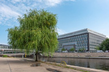 Spree 'nin kıyısında geniş söğüt kuleleri ve arka planda modern bir ofis binası var. Sahne doğayla şehri birleştirir..