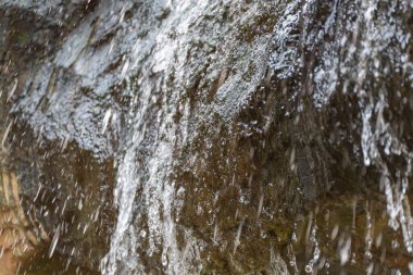Su yosunlu kayadan aşağı düşüyor. Yosun tutmuş bir kaya duvarından süzülen bir şelalenin yakın çekimi. Damlacıklar havada yakalanır, tazelik ve hareket uyandırır..