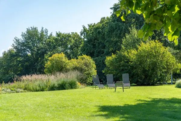 Güneşli bir park manzarasında sandalyeler. Metal sandalyeler uzun çalılar ve ağaçlarla çevrili açık, güneşli bir parkta duruyor. Kırsalda dinlenmek için ideal..