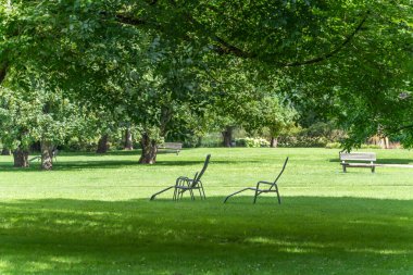 Ağaçların altındaki sandalyeler. İyi korunmuş bir çayırdaki büyük bir ağacın gölgesinde iki boş metal sandalye duruyor. Sahne sakin görünüyor ve sizi oyalamaya davet ediyor..