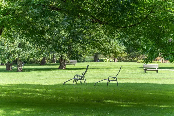 Ağaçların altındaki sandalyeler. İyi korunmuş bir çayırdaki büyük bir ağacın gölgesinde iki boş metal sandalye duruyor. Sahne sakin görünüyor ve sizi oyalamaya davet ediyor..