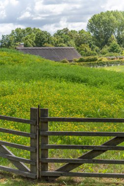 Çayır ve sazdan çatı katı olan bir çiftlik kapısı. Ahşap bir çiftlik kapısı sarı kır çiçekleriyle dolu bir çayıra açılıyor. Arkasında yeşilliklerle çevrili sazdan yapılmış güzel bir çatı var..