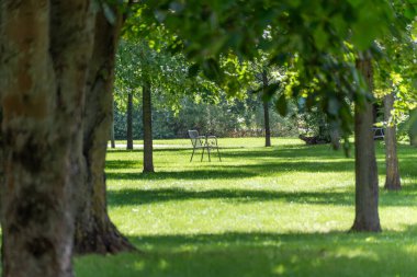 Tree Park 'taki bankta. Sessiz yeşil bir parkta ağaçların altında metal bir bank tek başına duruyor. Oturup doğanın tadını çıkarmak için sakin bir yer..