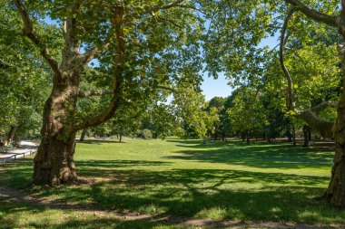 Parktaki Büyük Meadow, Trees. Büyük yeşil bir çayır eski ağaçların gölgesinde uzanıyor. İnsanlar parktaki güneşli havanın tadını çıkarırlar..