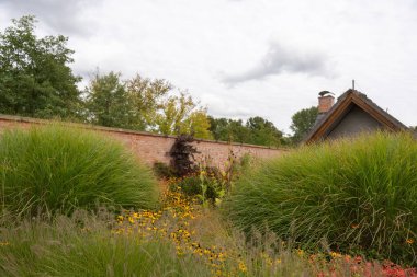 Süslü otlarla dolu canlı bir bahçe ve tuğla duvar boyunca uzanan altın Rudbeckia çiçekleri. Doğa, mimariyle çok güzel zıtlaşıyor..