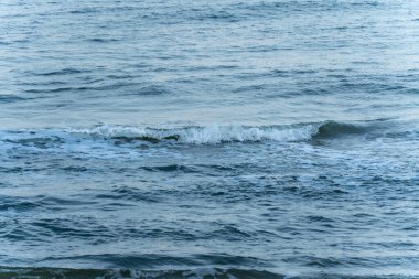 Kıyıda hafif dalgalar kopuyor. Denizin hareketlerinin sakinleştirici ve ritmik bir etkisi vardır..