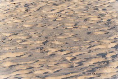 Altın akşam ışığı kumsalda yumuşak kum dalgalarını vurguluyor. Gölgeler yüzeyde doğal bir desen oluşturur..