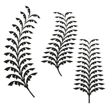 Botanik yaprak simgeleri. Zarif bitki şekilleri. Siyah organik tasarım. Doğal vektör motifi. EPS 10
