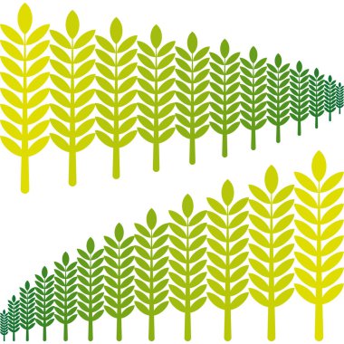 Yeşil alan çizimi. Sarı bitki sapları. Tarım arazisi taşıyıcısı. Doğa tarımı grafikleri. EPS 10.