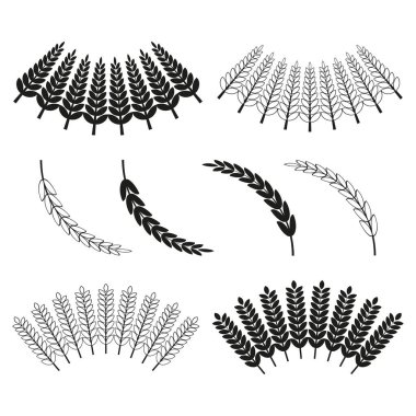 Buğday kulak koleksiyonu. Tahıl sembolü hasat et. Mısır gevreği taşıyıcısı. Tarım doğal illüstrasyon. EPS 10.