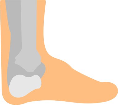 İnsan kemiğinin vektör çizimi