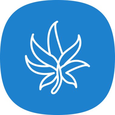 esrar yaprağı simgesi, vektör illüstrasyonu