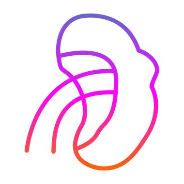 İnsan vücut organı renk vektör illüstrasyonu