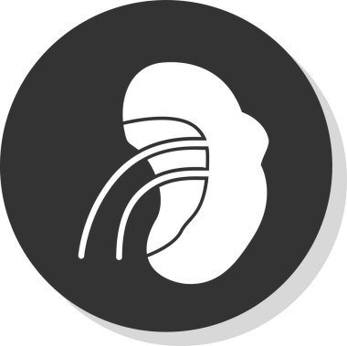 Böbrek simgesi modaya uygun olarak izole edildi