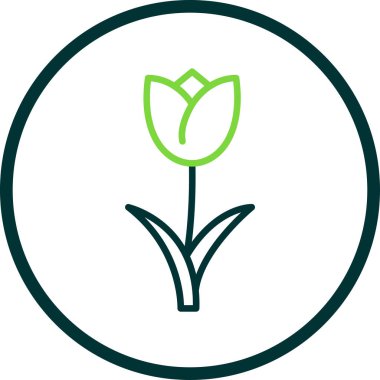 Basit düz lale çiçeği çizimi 