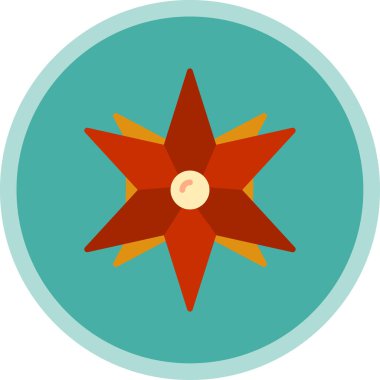 Bir yıldızın vektör illüstrasyonu