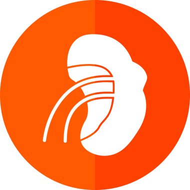 böbrek yassı simgesi, vektör illüstrasyonu