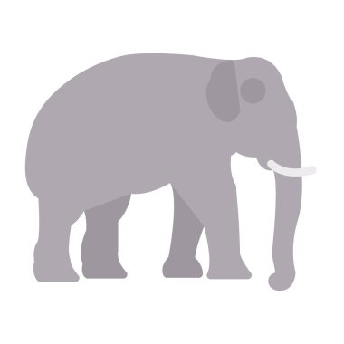 Fil simgesi, vektör illüstrasyonu basit tasarım